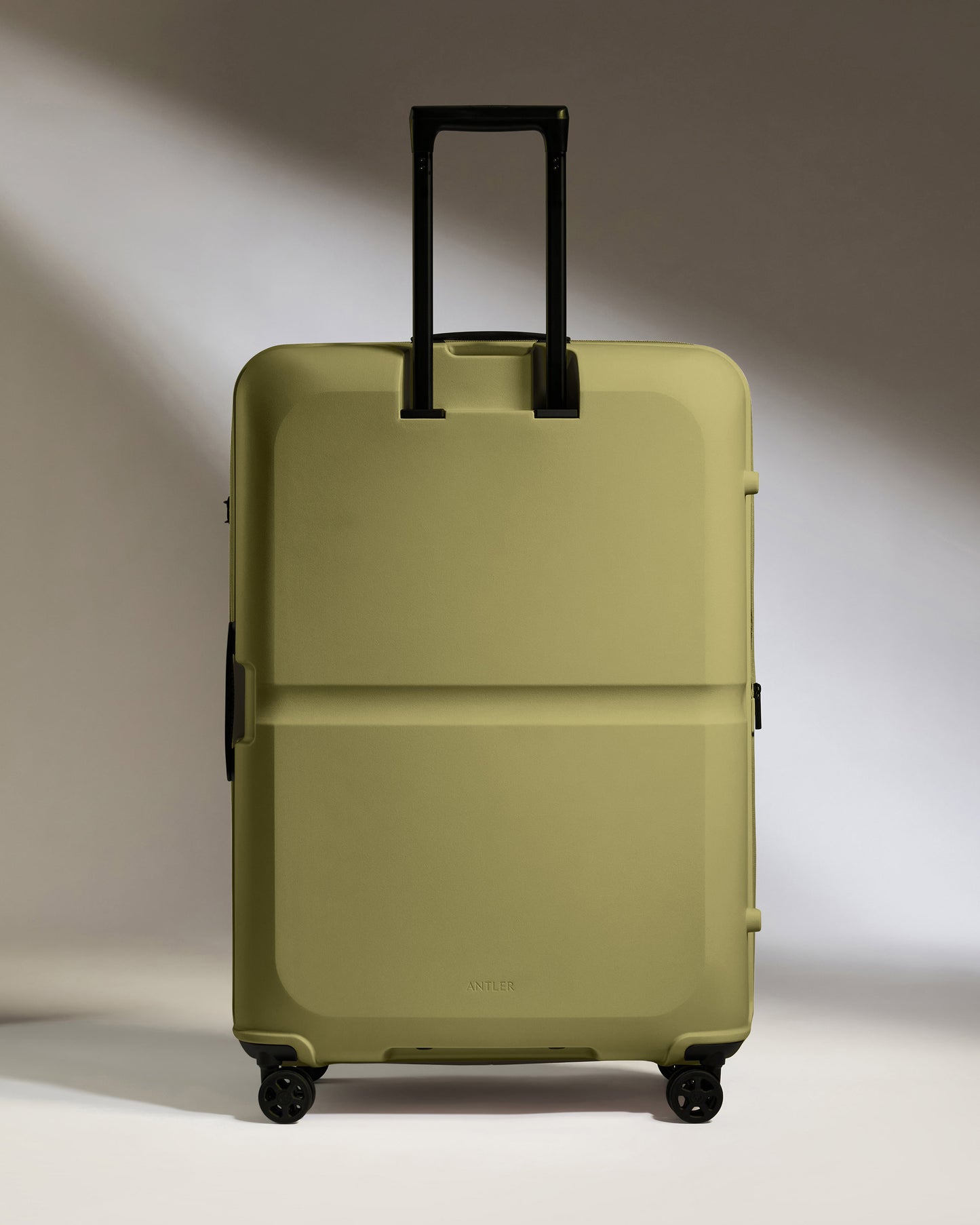 Large Suitcase in Reed Green - Single Stripe