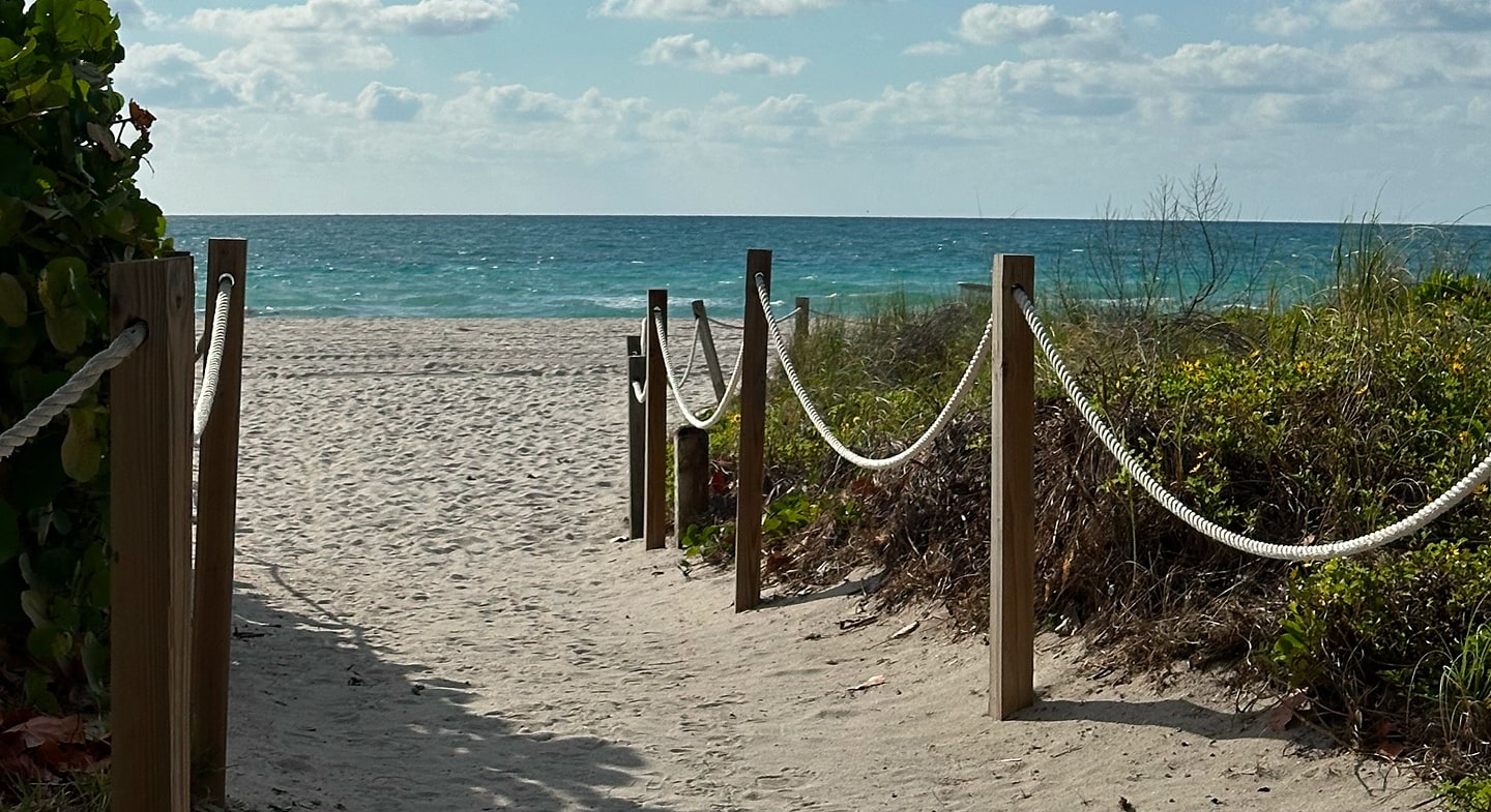 Antler Travels: Miami