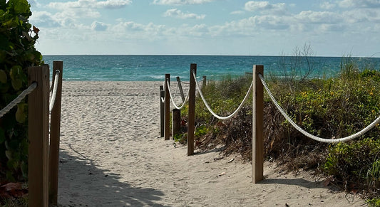 Antler Travels: Miami