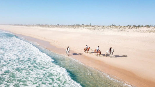 Comporta, Portugal