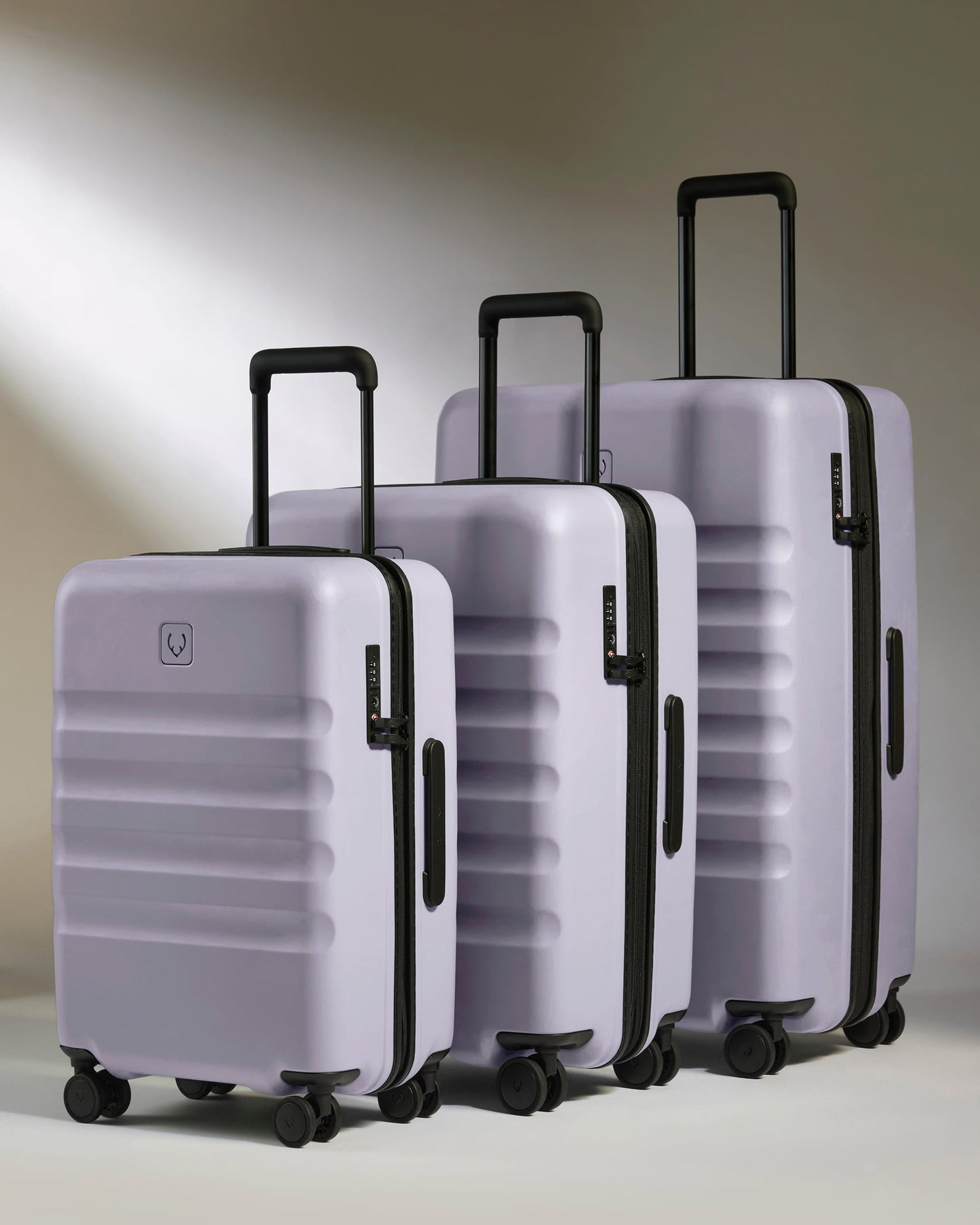 Large Cabin Suitcase Set in Meadow Purple - Icon Stripe
