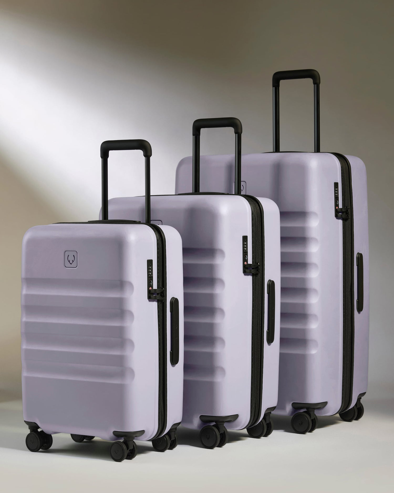 Large Cabin Suitcase Set in Meadow Purple - Icon Stripe