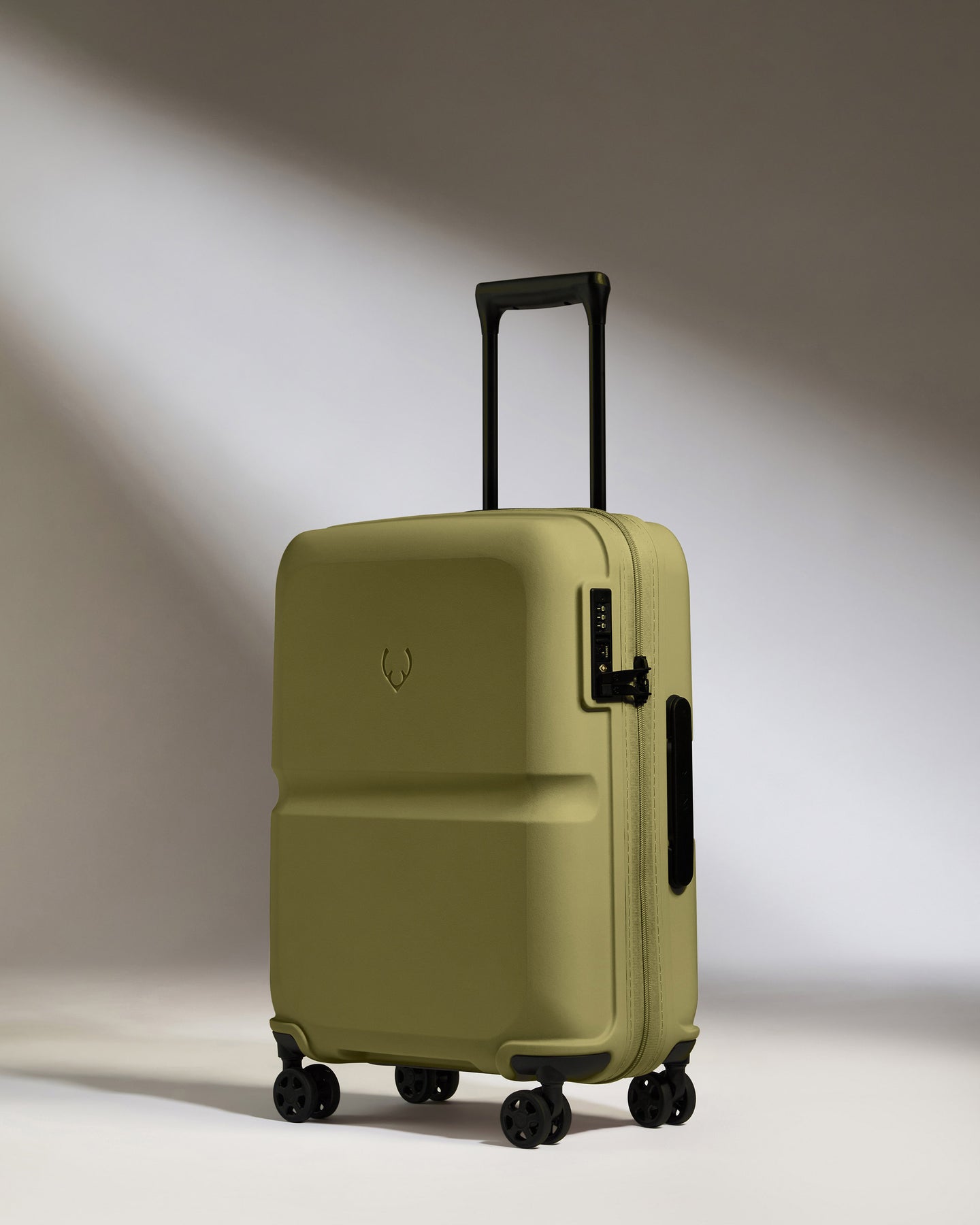 Cabin Suitcase in Reed Green - Single Stripe