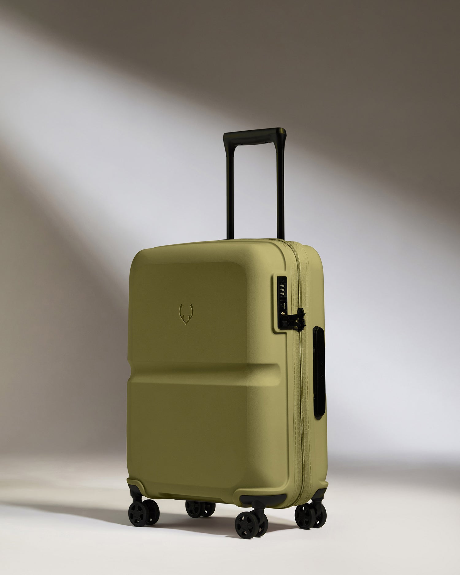Cabin Suitcase in Reed Green - Single Stripe