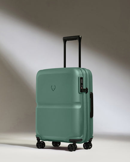Cabin Suitcase in Seagrass Green - Single Stripe