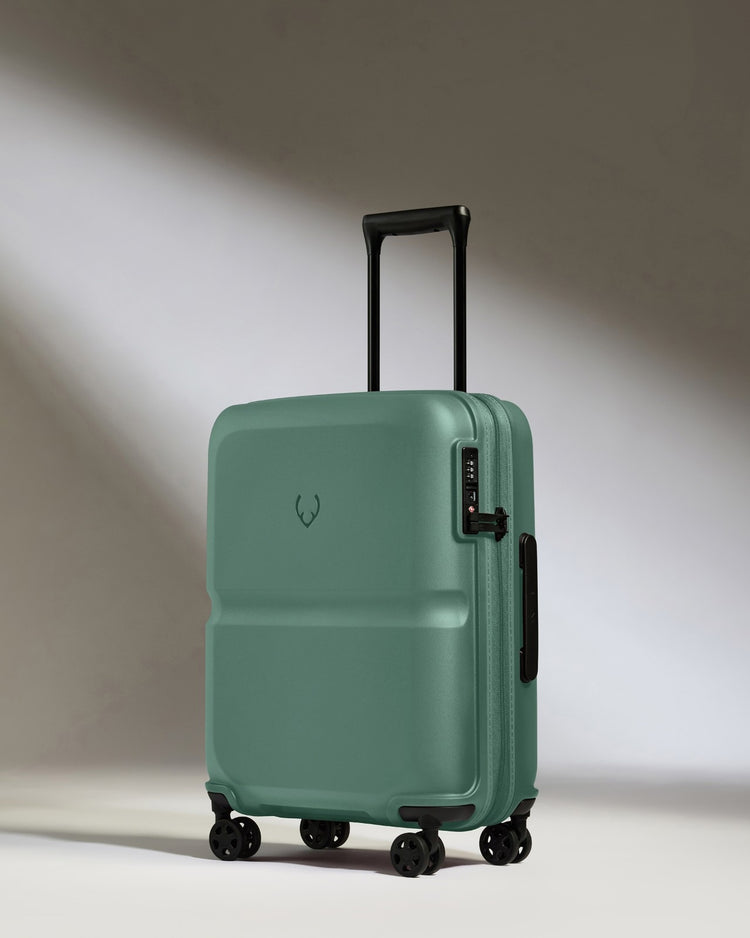 Cabin Suitcase in Seagrass Green - Single Stripe