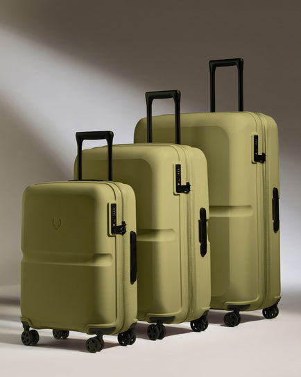 Suitcase Set in Reed Green- Single Stripe