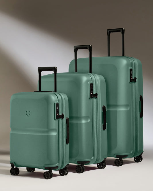 Suitcase Set in Seagrass Green - Single Stripe