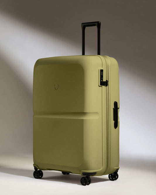 Large Suitcase in Reed Green - Single Stripe