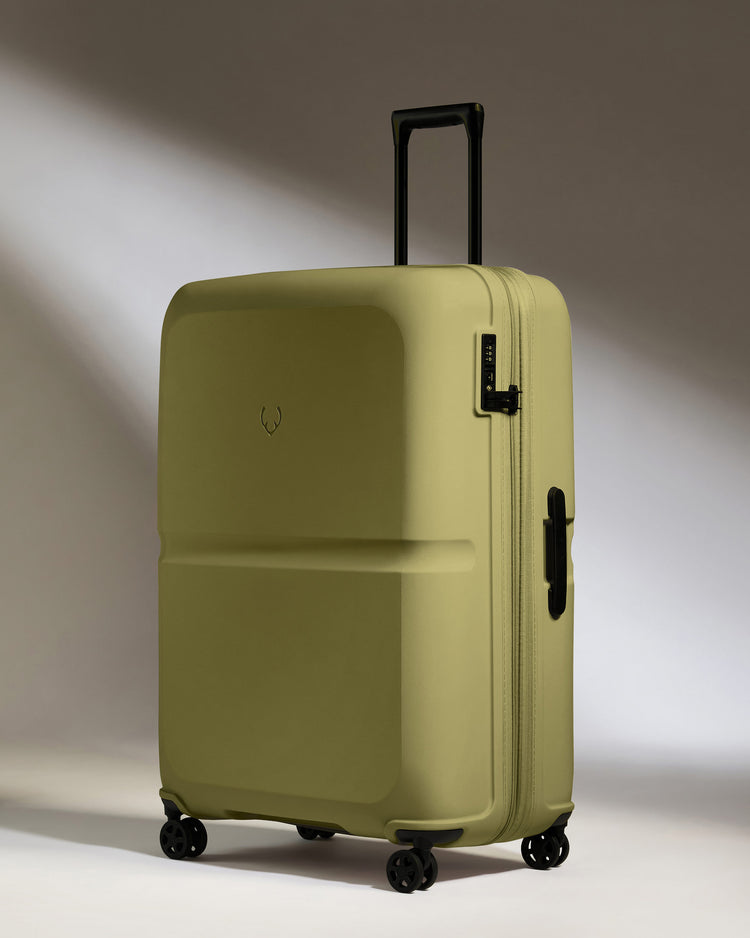 Large Suitcase in Reed Green - Single Stripe