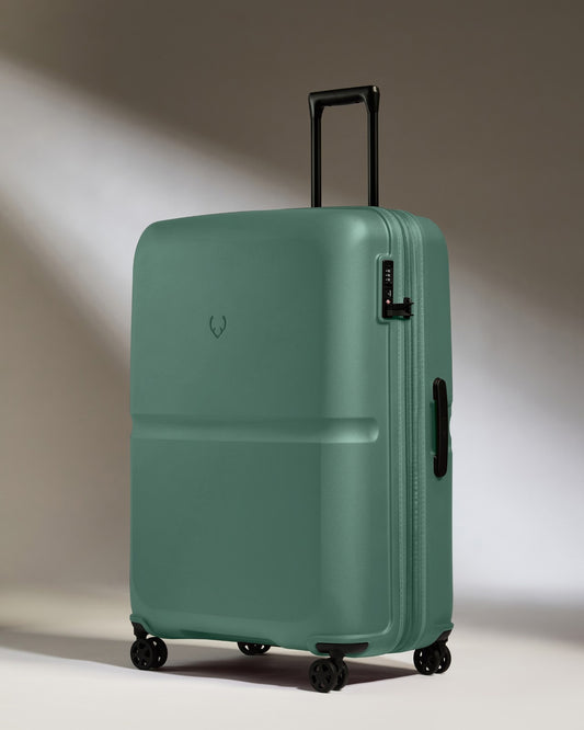 Large Suitcase in Seagrass Green - Single Stripe