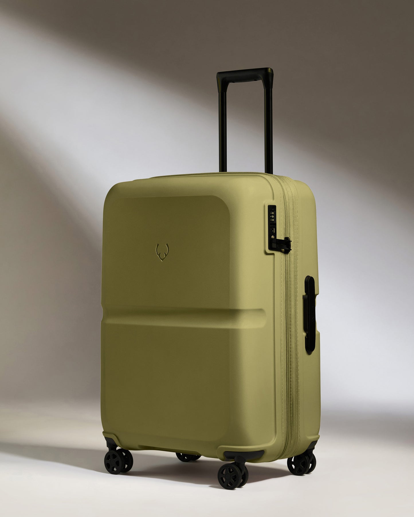 Medium Suitcase in Reed Green - Single Stripe