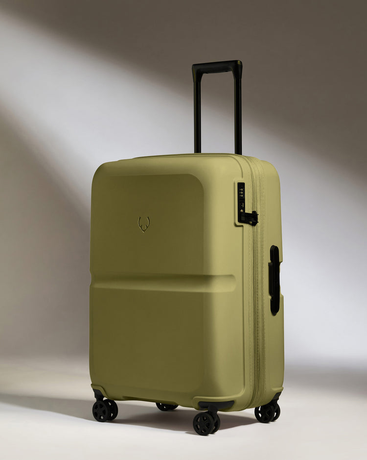 Medium Suitcase in Reed Green - Single Stripe