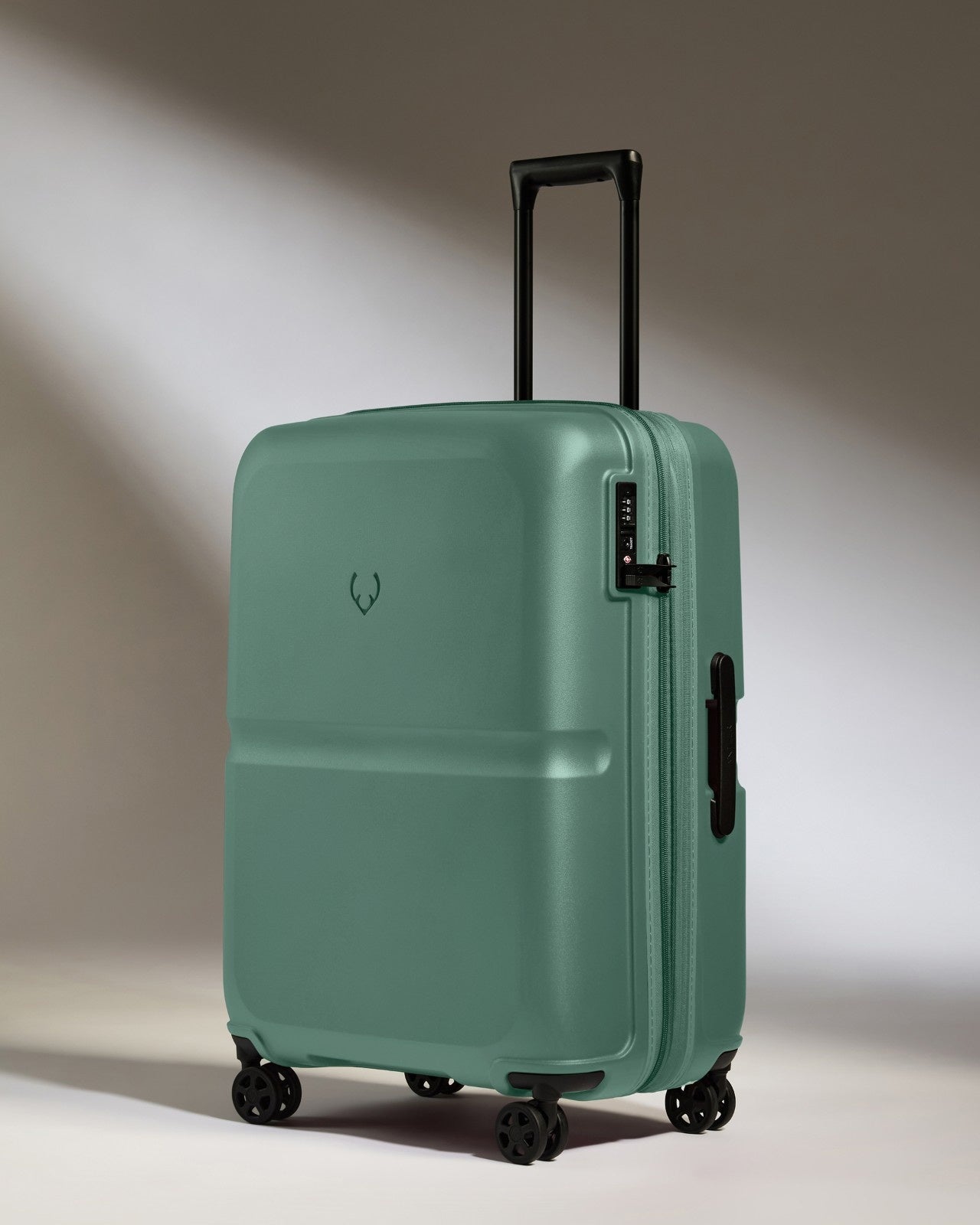 Suitcase Set in Seagrass Green - Single Stripe