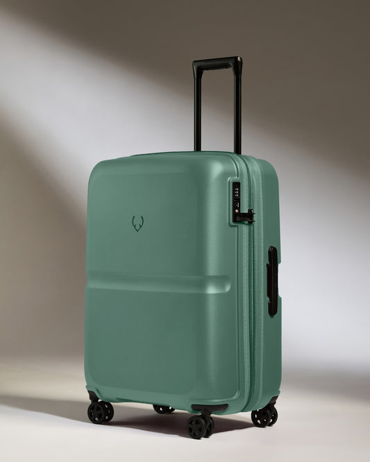 Medium Suitcase in Seagrass Green - Single Stripe