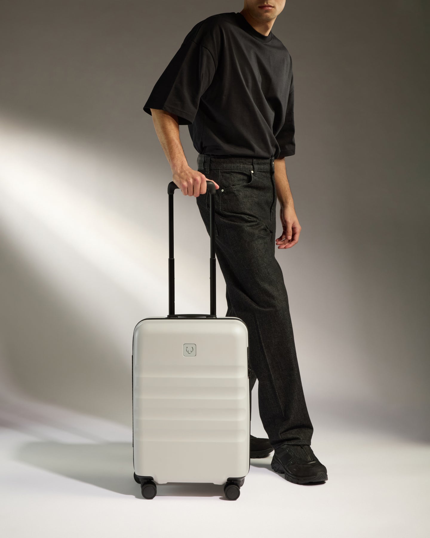 Large Cabin Suitcase in Taupe - Icon Stripe
