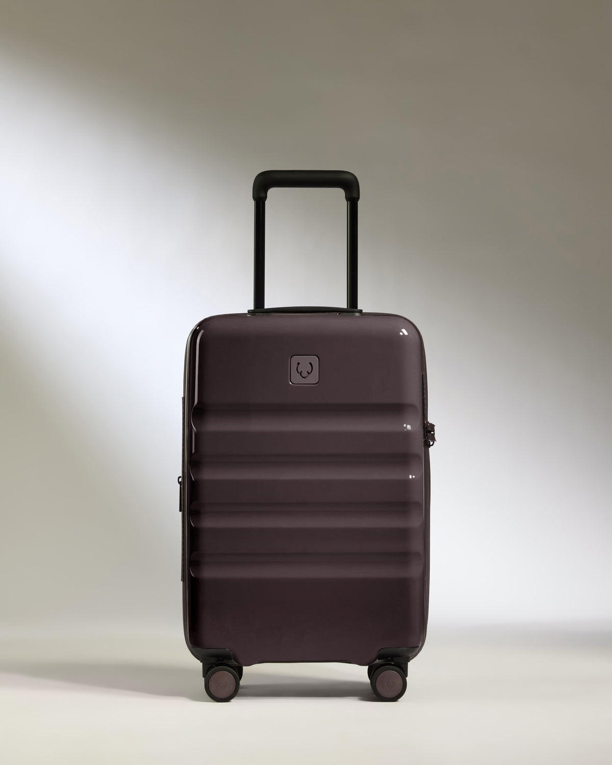 Expandable Cabin Suitcase in Hedgerow Gloss - Icon Stripe