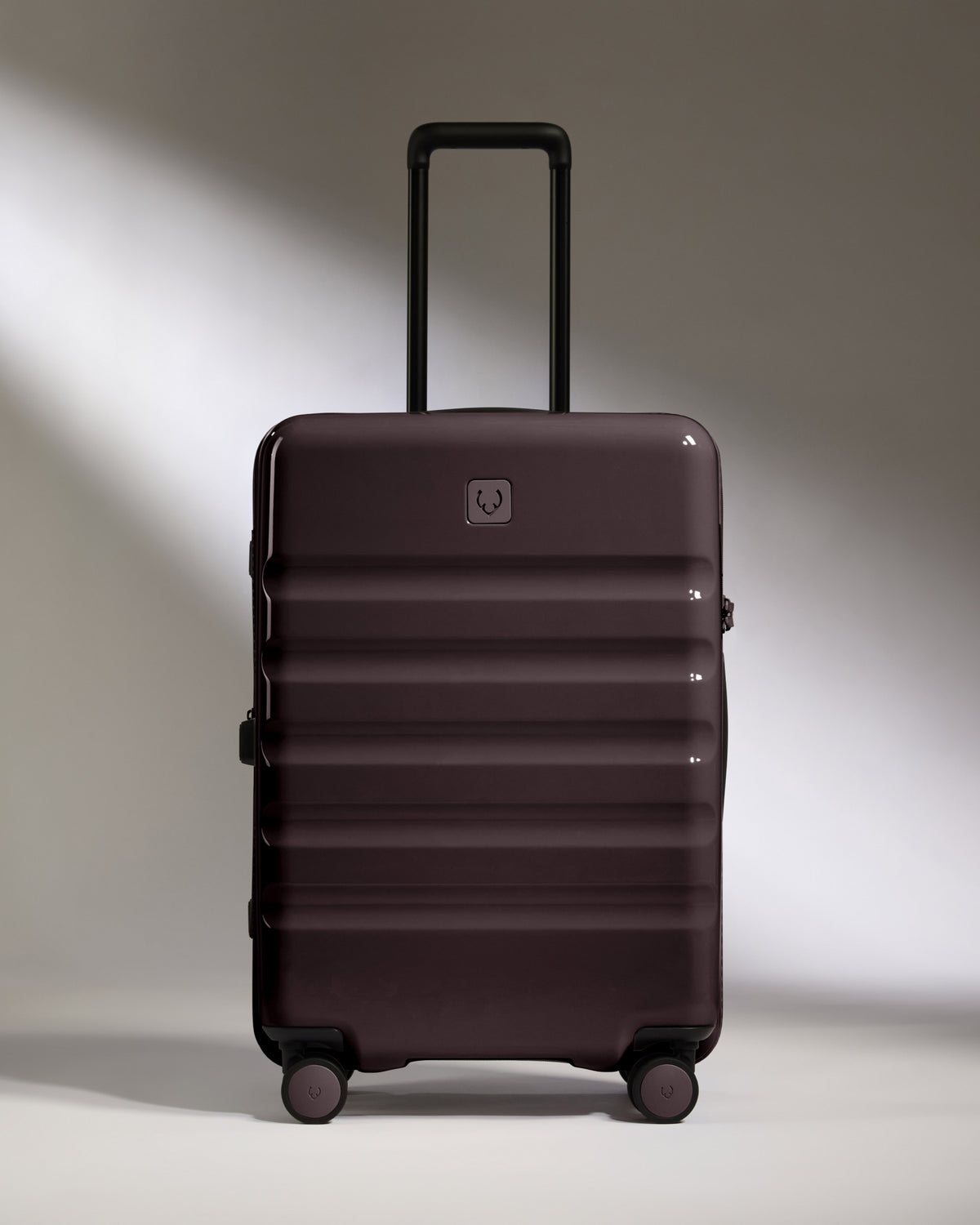 Medium Suitcase in Hedgerow Gloss - Icon Stripe