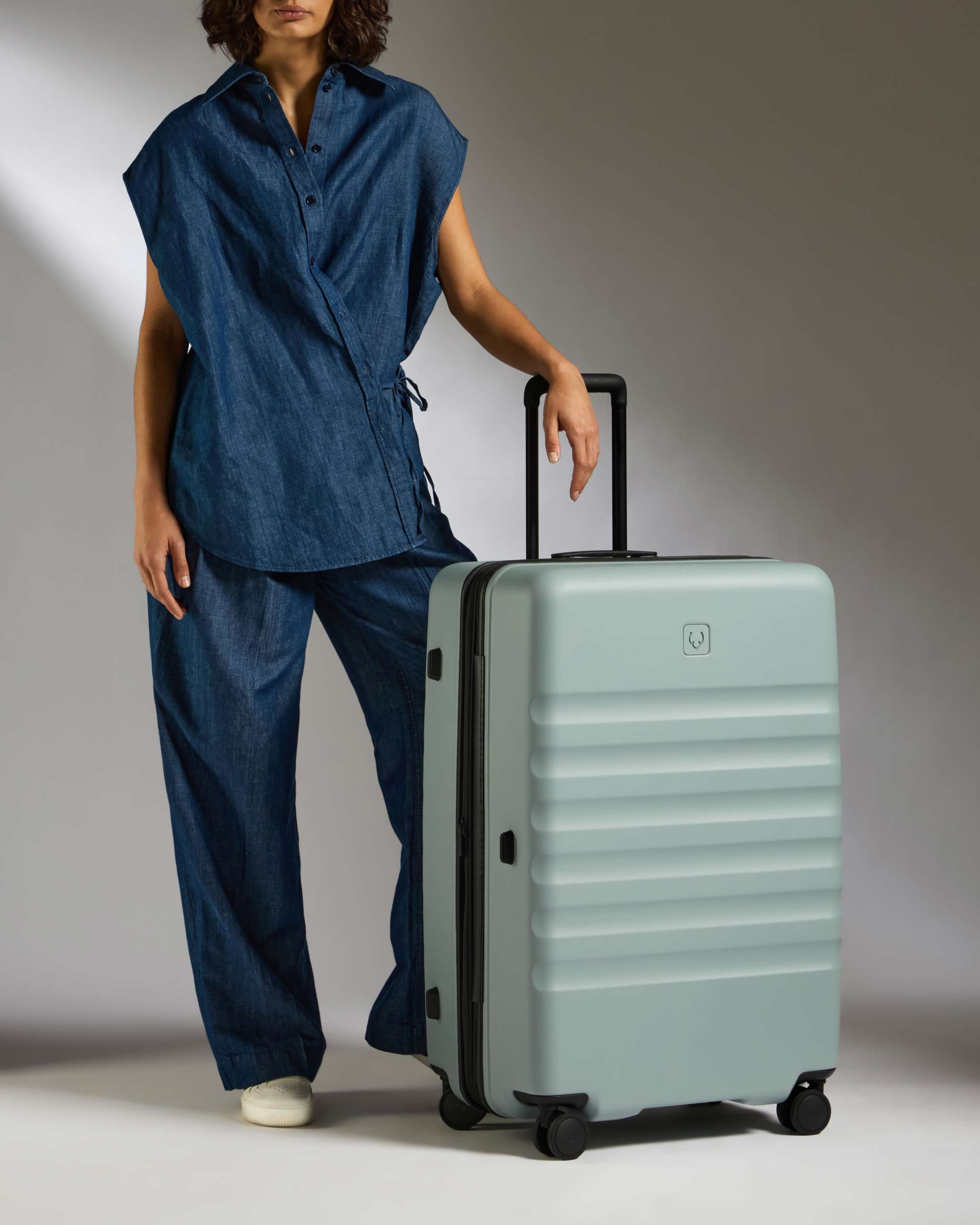 Large Suitcase in Mist Blue Icon Stripe