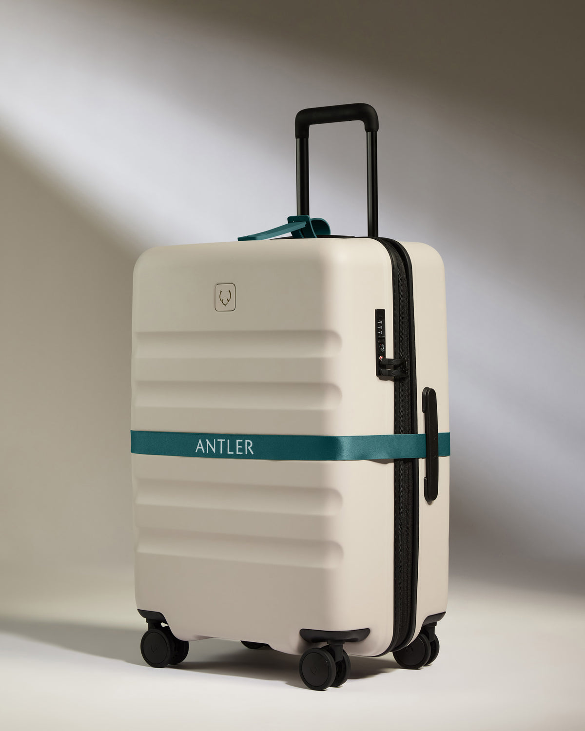 Luggage Strap in Marsh Blue