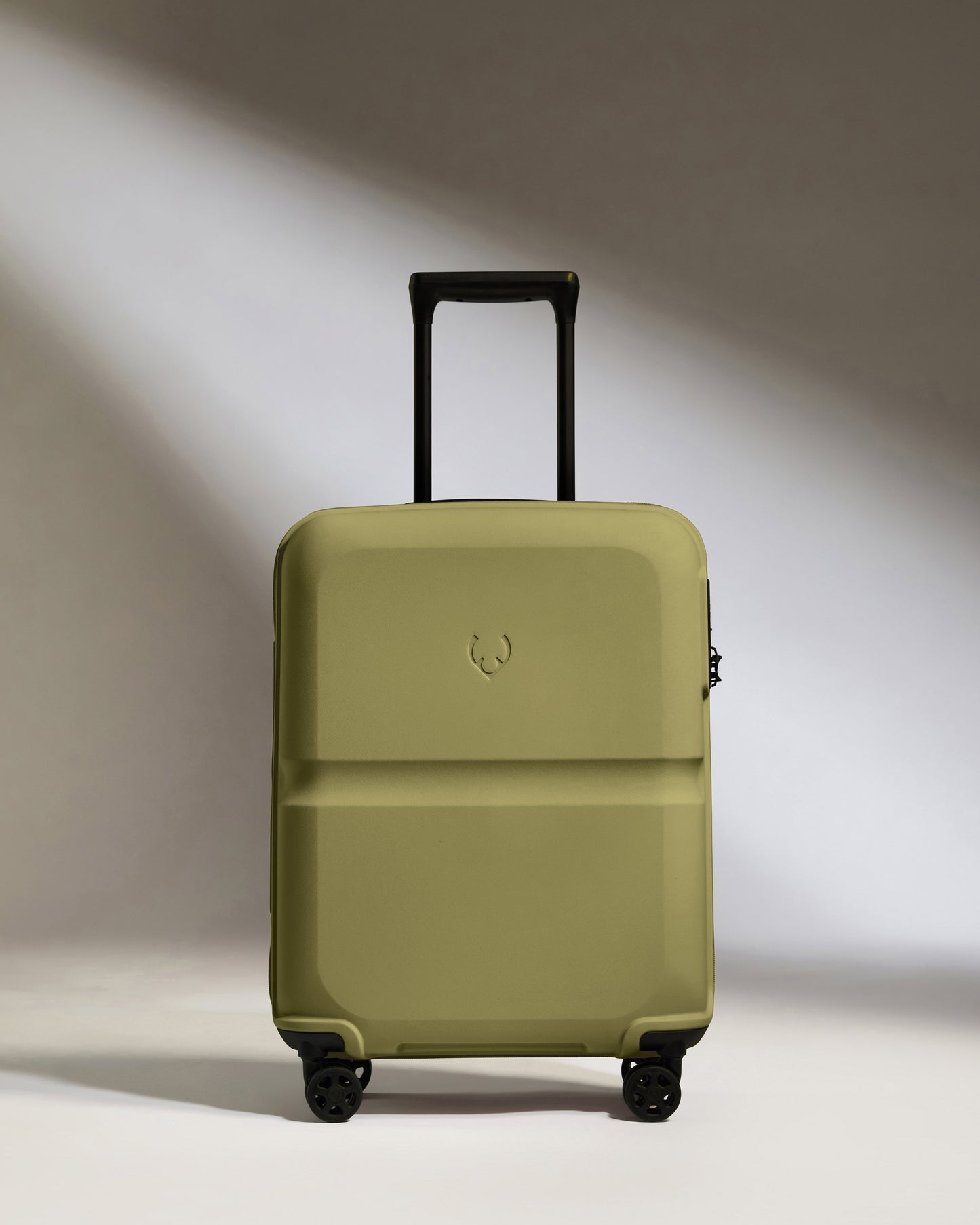Cabin Suitcase in Reed Green - Single Stripe