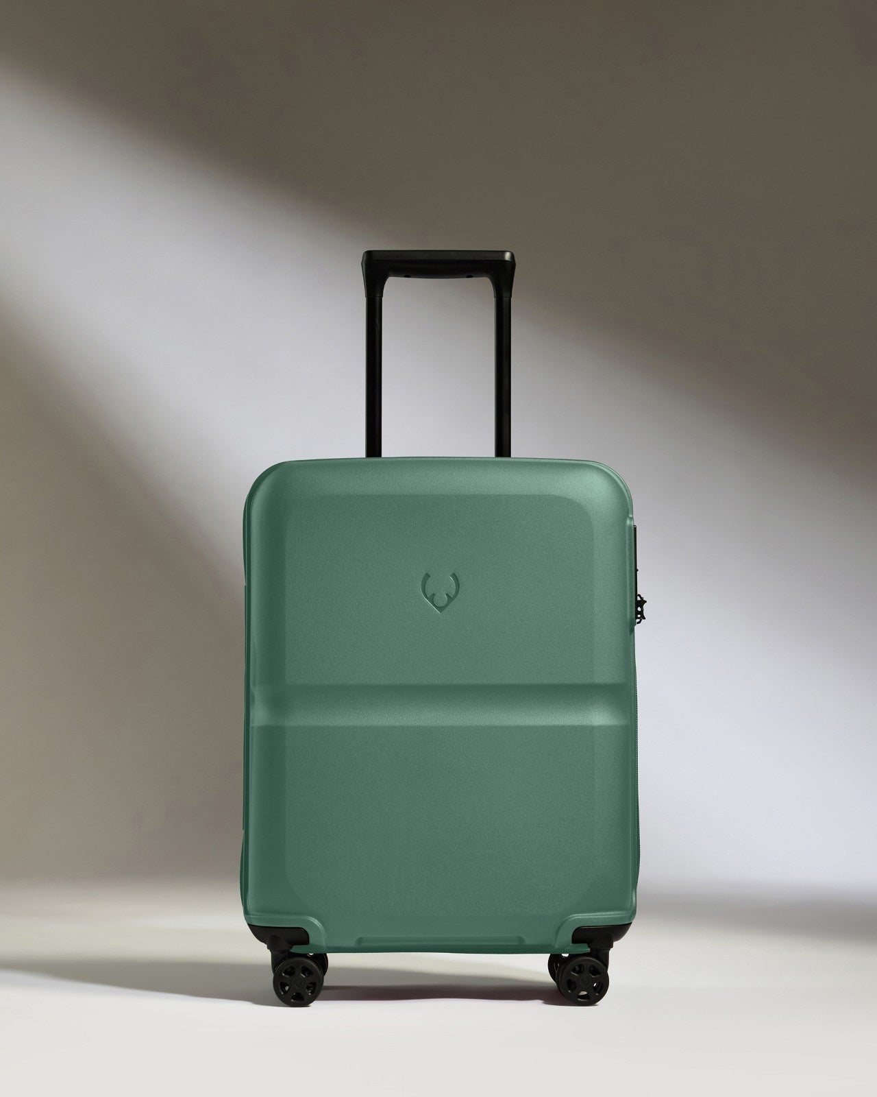Cabin Suitcase in Seagrass Green - Single Stripe