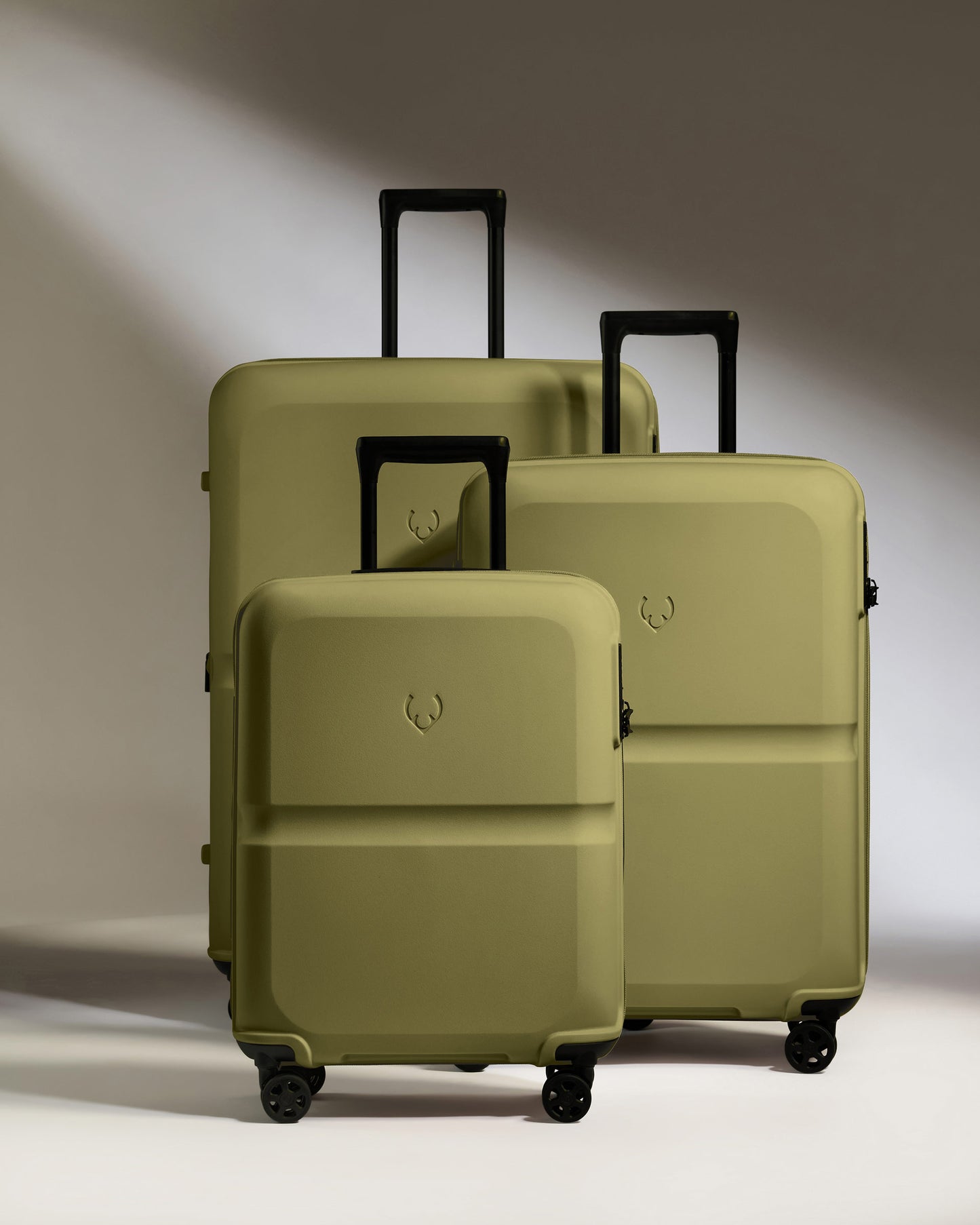 Suitcase Set in Reed Green- Single Stripe
