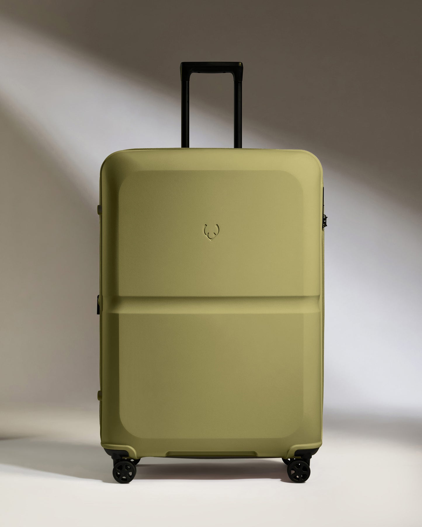 Large Suitcase in Reed Green - Single Stripe