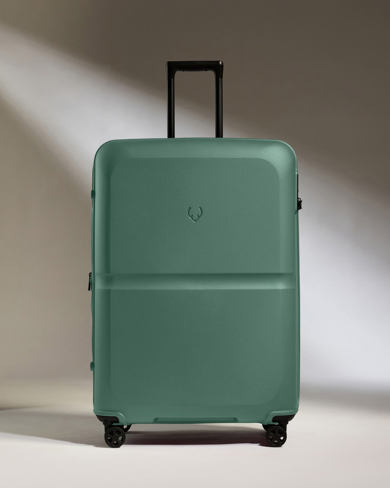 Large Suitcase in Seagrass Green - Single Stripe