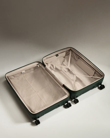 Large Suitcase in Antler Green - Single Stripe