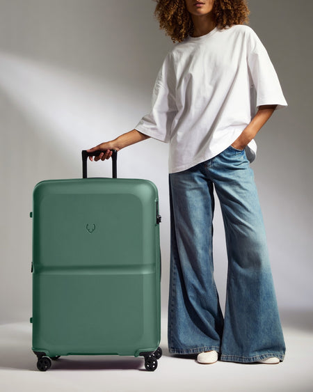 Large Suitcase in Seagrass Green - Single Stripe