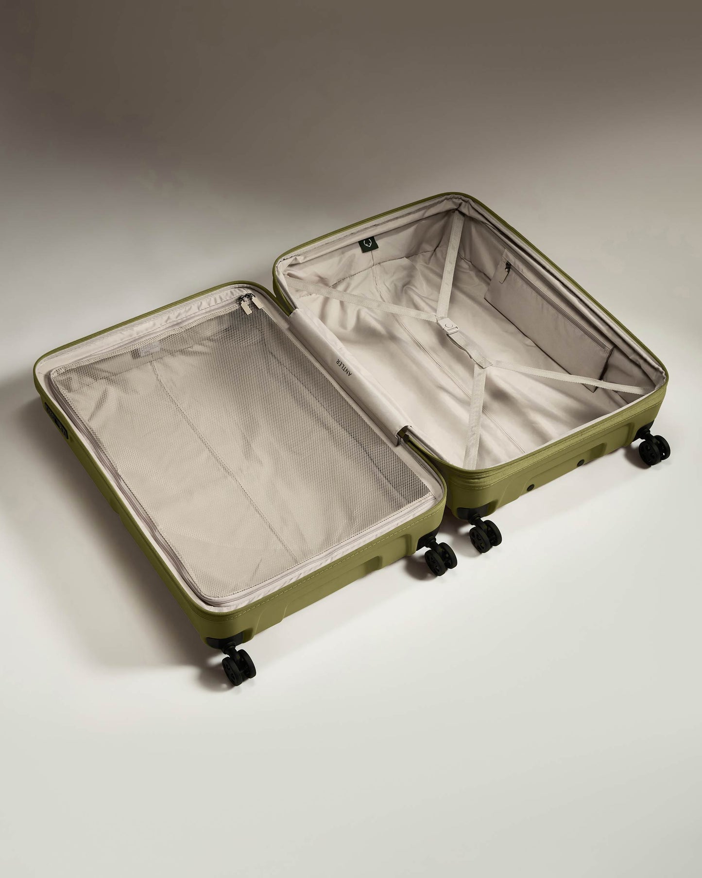 Large Suitcase in Reed Green - Single Stripe