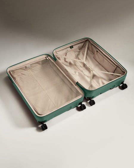 Large Suitcase in Seagrass Green - Single Stripe