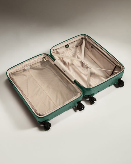 Medium Suitcase in Seagrass Green - Single Stripe