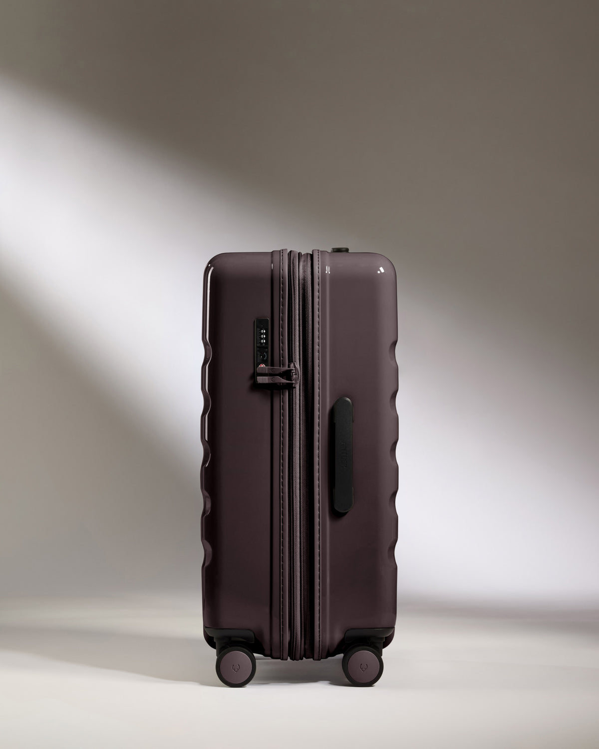 Medium Suitcase in Hedgerow Gloss - Icon Stripe