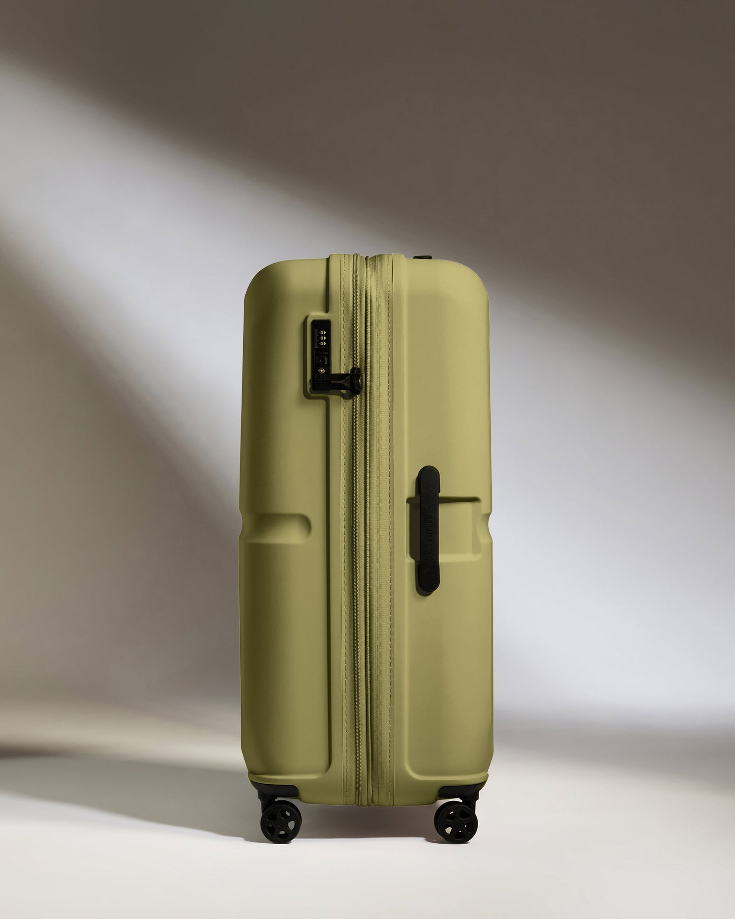 Large Suitcase in Reed Green - Single Stripe