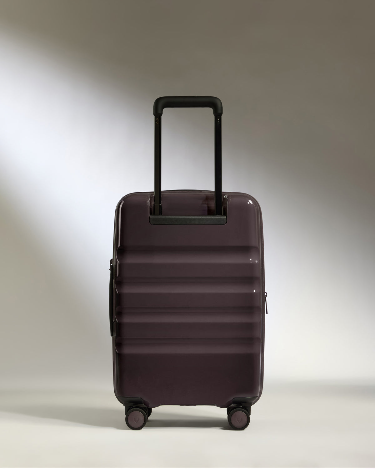 Expandable Cabin Suitcase in Hedgerow Gloss - Icon Stripe