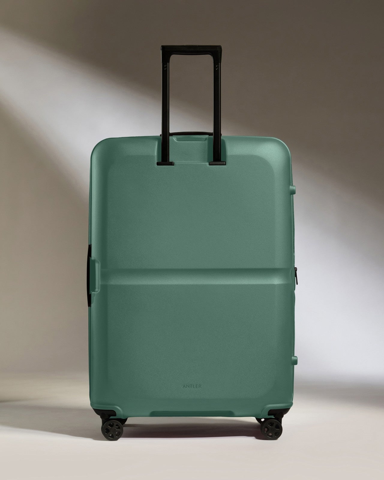 Large Suitcase in Seagrass Green - Single Stripe