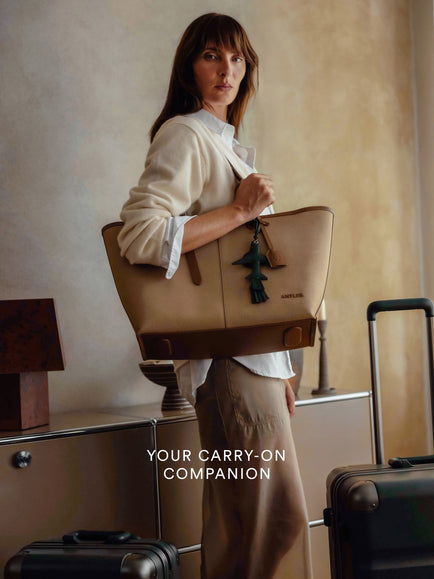 City Campaign - Carry on companion PLP 2026